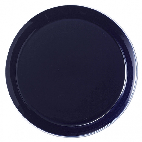 PASION�A�X�[���y���{���z��21.0cm�v���[�g�y�������z