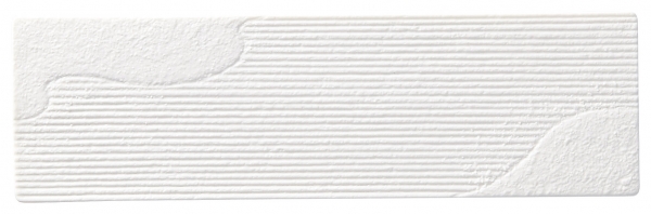 34cm�ו��ג��M�@��R���y���{������z