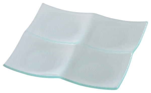 Turky���y�V�[�j���z(�N���A)19.5cm�S�؎M�y�K���X���i�z