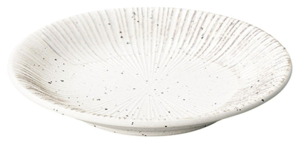 �Ɩ��p New ����e������ ��i4.0�M 12.9cm�y���{���z