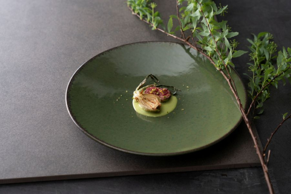 �V������� 23cm�M�y���{���z