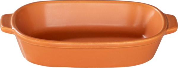 �V���N�W�[�l �e���R�b�^�I�����W20cm�I�u�����O���^���y���{���z