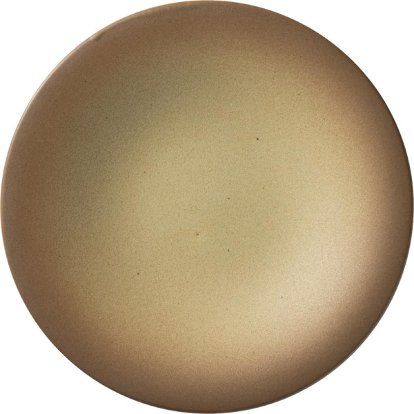 �V�����g5.0�M16.5cm�y���{���z