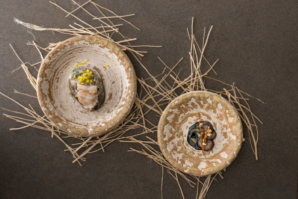 ���_ �Ζ�5.0�M16.3cm�y���{���z