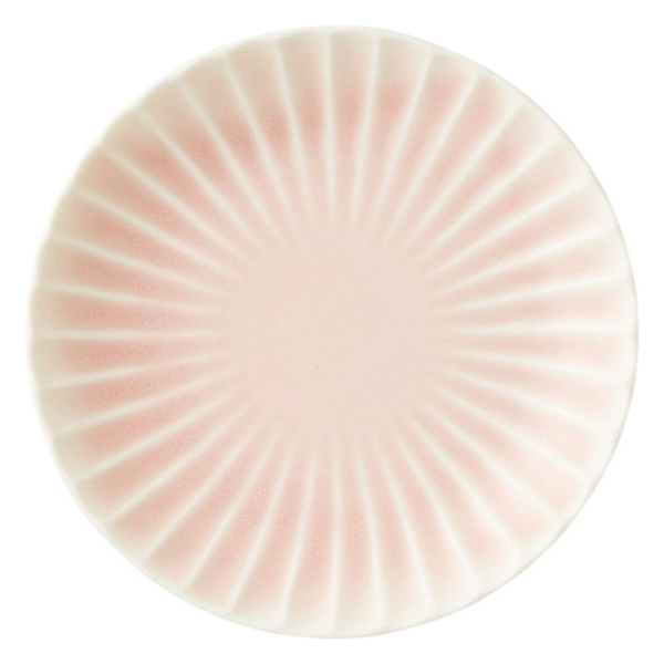 ������ ������ 16.5cm�ێM�y���{���z