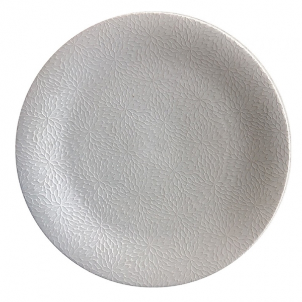 T[tFX 24cm~[g(ނȋej