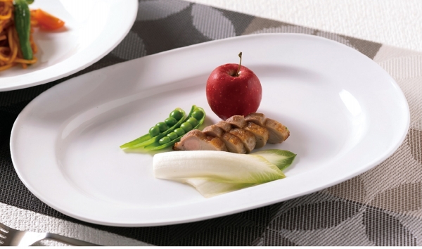 Dia Ceram �z���C�g�@�R�T�����v���^�[�@