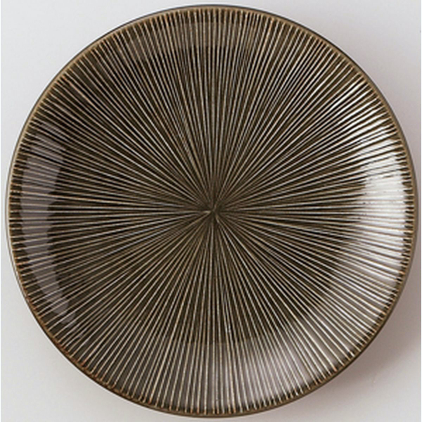 �Ɩ��p ��i �D�� ��i10.0�M