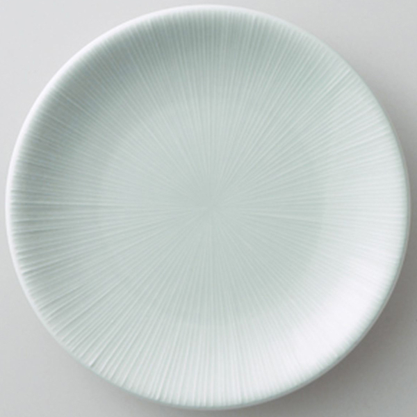 �Ɩ��p ��i �� ��i10.0�M