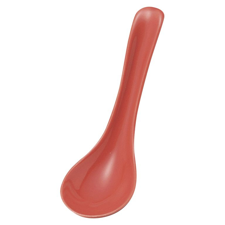 �Ɩ��p �� �X�[�v�X�v�[�� ��