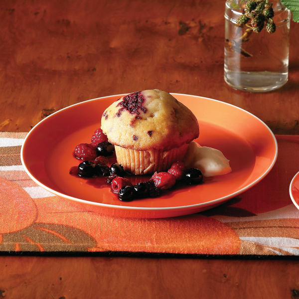 �Ɩ��p �p�V�I�� �I�����W�� 21cm�v���[�g