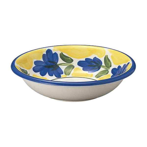 �Ɩ��p �J���p�[�j�� 24cm�X�[�v�X�p�Q�e�B�{�E��