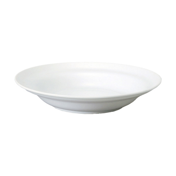 �Ɩ��p �p���~�� �z���C�g 24cm�[�M