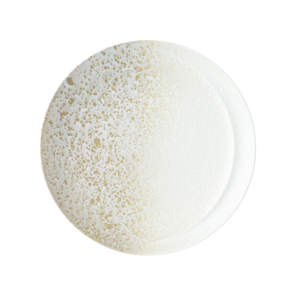 �Ɩ��p �A���R ���Y 21.5cm�v���[�g