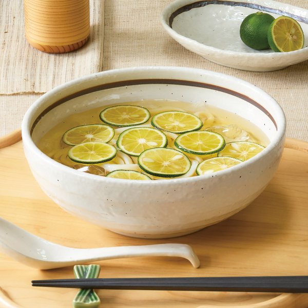 �������C�� �Ζ�6.5�{�E��