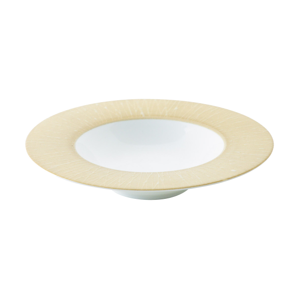 �Ɩ��p ���~�l�[�� �S�[���h�x�[�W�� 24cm�f�B�[�v�X�[�v�{�E��