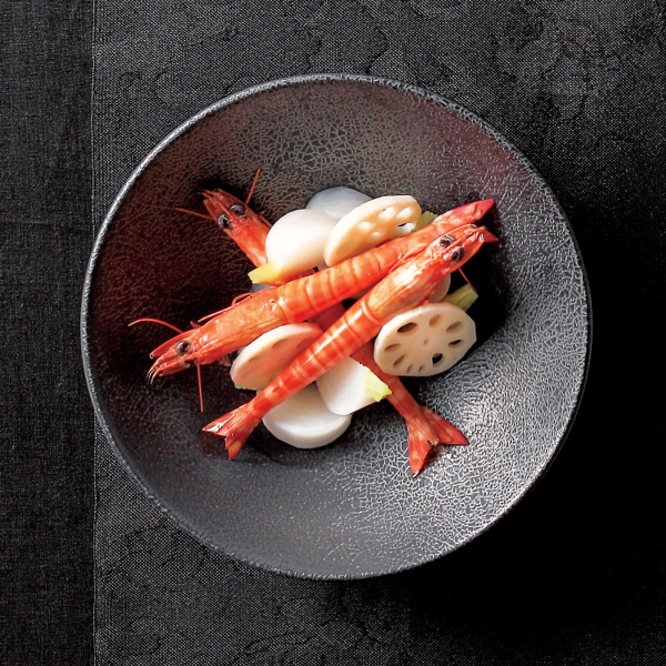 �n�n 24cm��{�E��