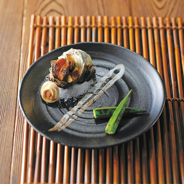 �Ɩ��p ���� 23.5�����M