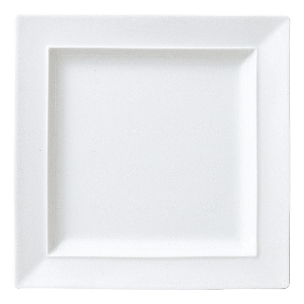 �Ɩ��p �����^�[�j�� 27cm�X�N�G�A�[�v���[�g