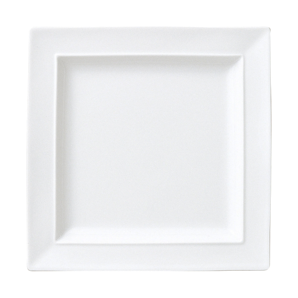 �Ɩ��p �����^�[�j�� 24cm�X�N�G�A�[�v���[�g