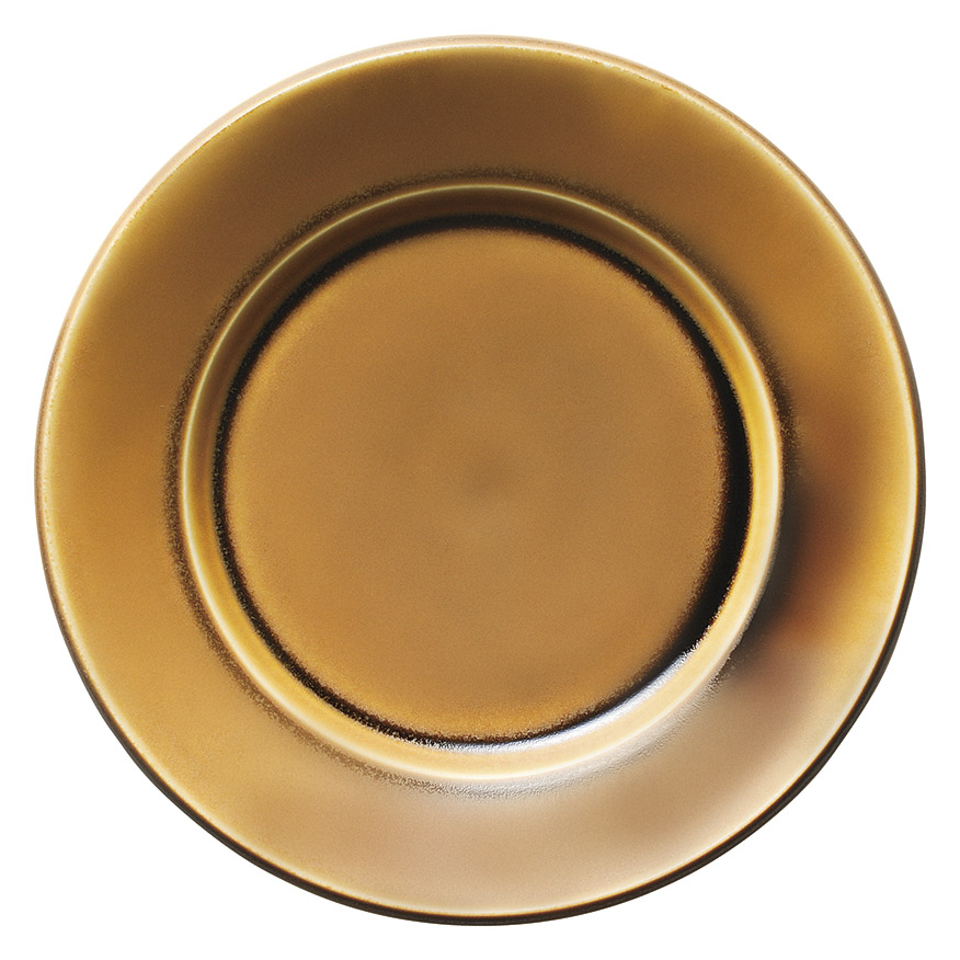 �Ɩ��p �X�p�_ �R�[�p�� 21�����v���[�g