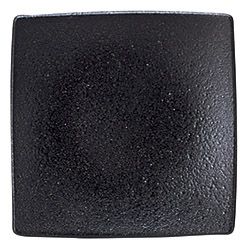 �Ɩ��p �G�{�j�[ 19.5�����X�N�G�A�[�v���[�g