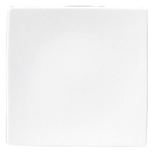 �Ɩ��p �g�����o 19.5�����X�N�G�A�[�v���[�g