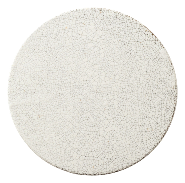 �� 16cm���ێM