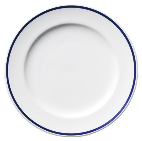 �Ɩ��p �G�N�V�u 21cm�f�U�[�g�i�u���[�V�G���j