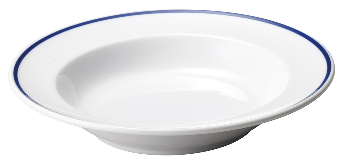 �Ɩ��p �G�N�V�u 24cm�X�[�v�i�u���[�V�G���j