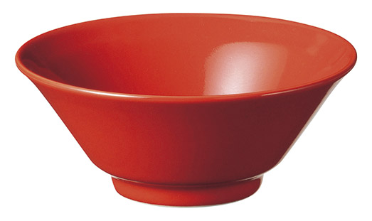 �Ɩ��p ���� 4.8���C�X