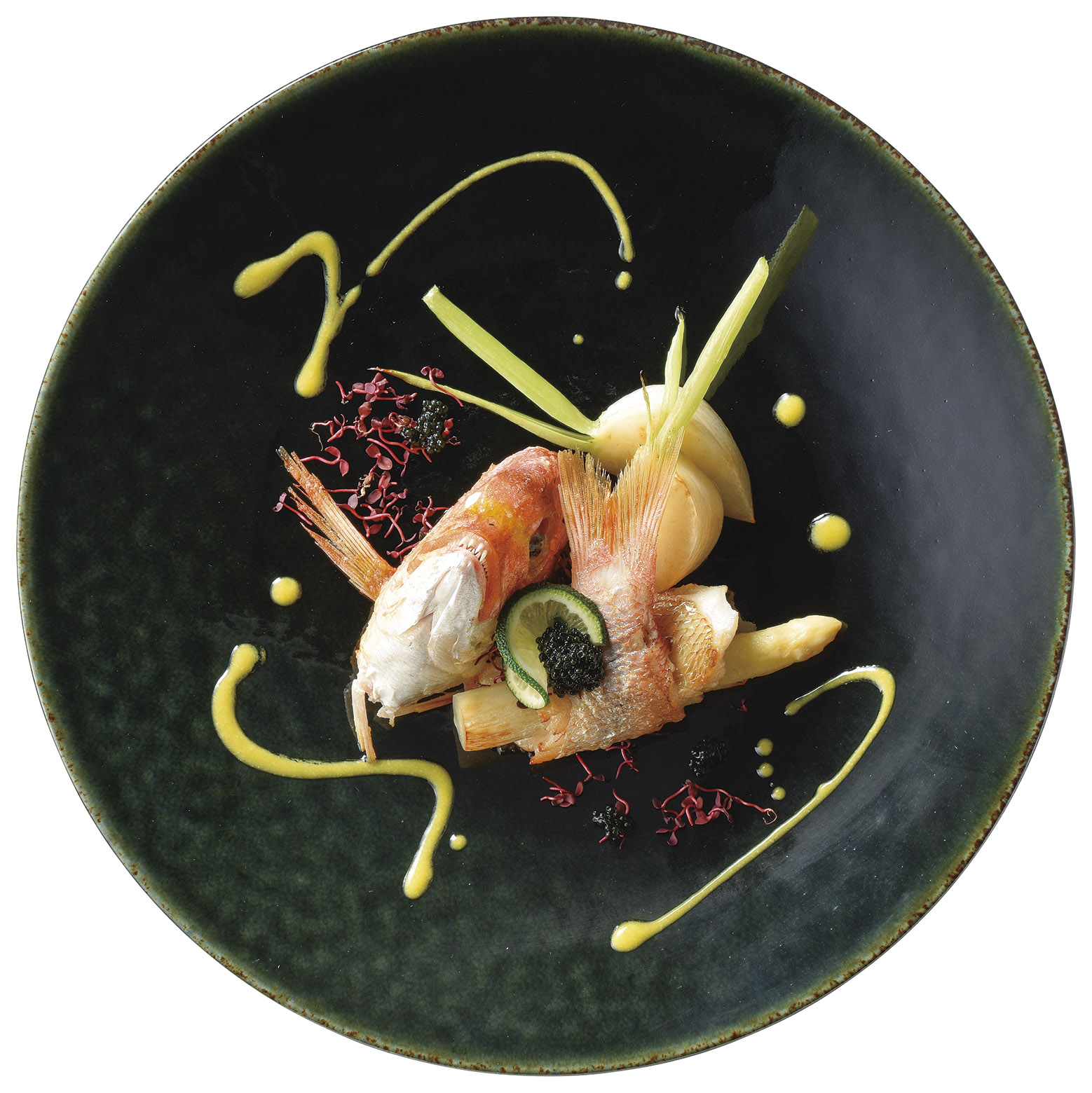 �Ɩ��p �J���^ 27cm�f�B�i�[�i�[�C�j