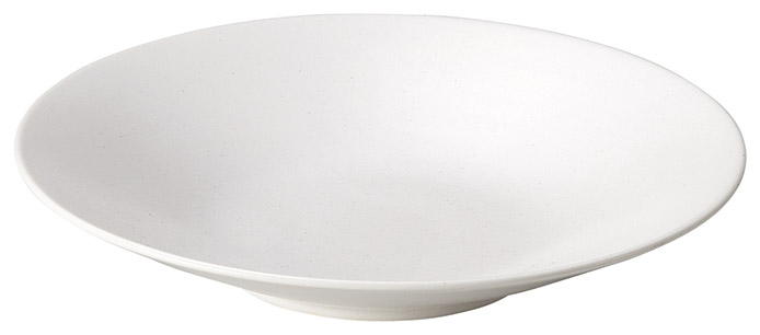 �Ɩ��p �J���^ 24cm�p�X�^�i��俁j