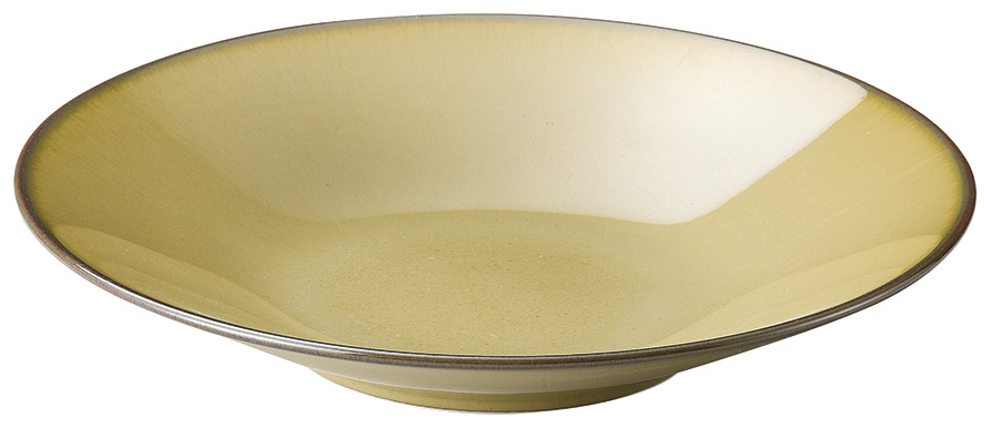 �Ɩ��p �J���^ 24cm�p�X�^�i�a�ہj