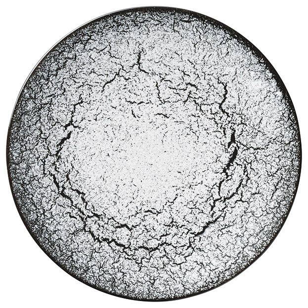 �Ɩ��p �J���^ 27cm�f�B�i�[�i�����j