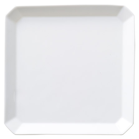 �Ɩ��p �L���� 20cm���p�X�N�G�A�v���[�g