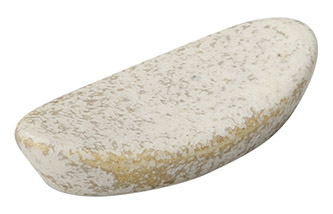 �Ɩ��p ���� ���u�܂�