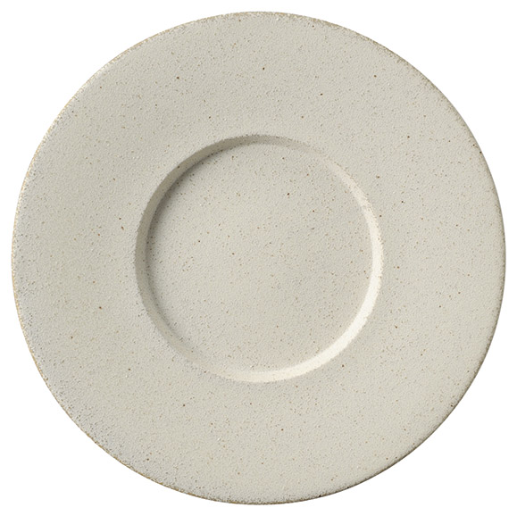 �Ɩ��p ���� 24cm���^�v���[�g