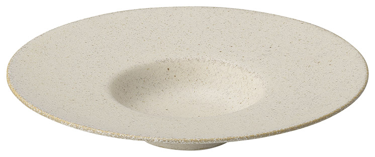 �Ɩ��p ���� 24cm���^�X�[�v