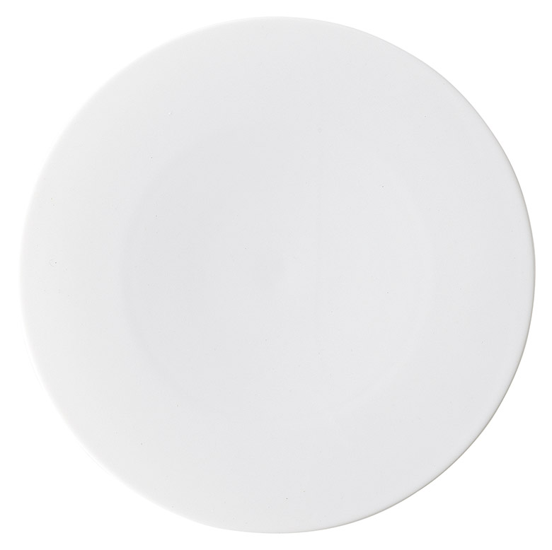 �Ɩ��p �T�[�t�F�X 20cm�f�U�[�g