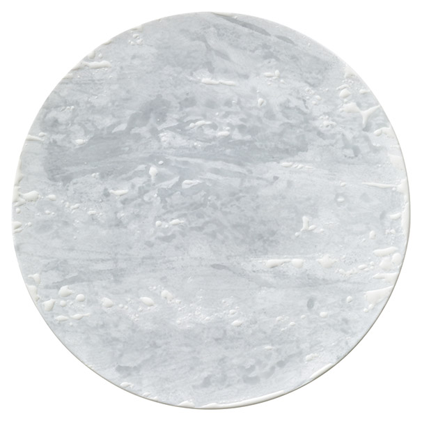 �Ɩ��p �T�[�t�F�X 27cm�f�B�i�[�i�×��j