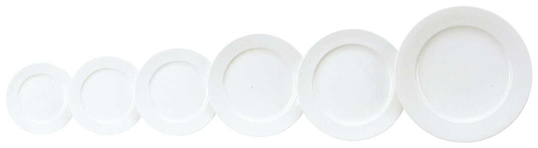 �Ɩ��p �e�N�m���C�g 8�h�����t�f�U�[�g