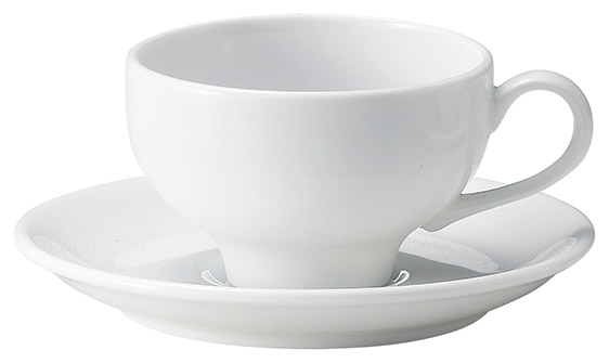 �Ɩ��p �}�W�F�X�^ ���p�q