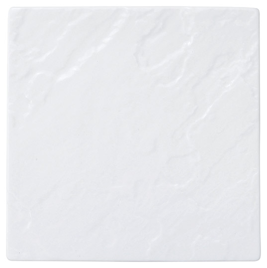 �Ɩ��p ���e�I 18cm�X�N�G�A�v���[�g�i�z���C�g�j