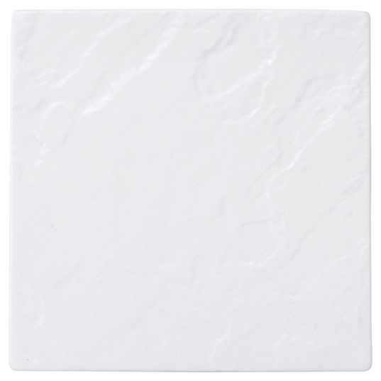 �Ɩ��p ���e�I 21cm�X�N�G�A�v���[�g�i�z���C�g�j