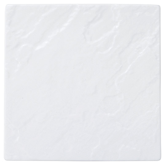 �Ɩ��p ���e�I 24cm�X�N�G�A�v���[�g�i�z���C�g�j