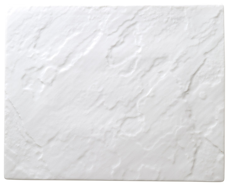 �Ɩ��p ���e�I 34cm���N�^���O���v���[�g�i�z���C�g�j