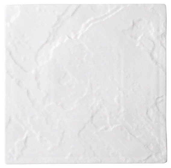 �Ɩ��p ���e�I 27cm�X�N�G�A�v���[�g�i�z���C�g�j