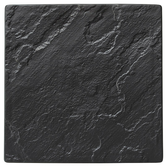 �Ɩ��p ���e�I 24cm�X�N�G�A�v���[�gBK�i�u���b�N�j