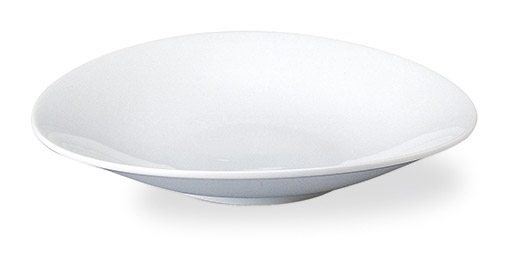 �Ɩ��p ���K�[�g 24cm�v���[�g